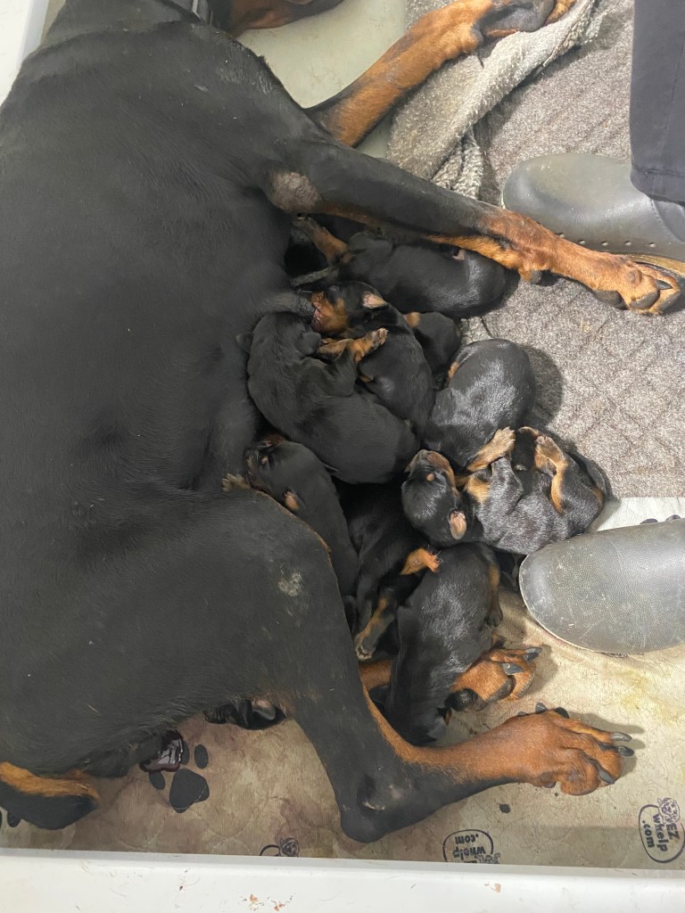 This image has an empty alt attribute; its file name is img_6148.jpeg